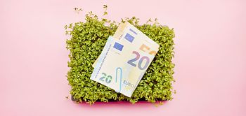 Natur Umwelt Geld