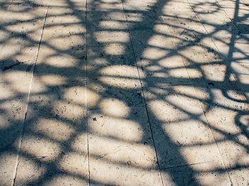 Netz Schatten