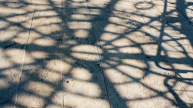 Netz Schatten