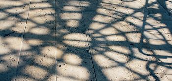 Netz Schatten