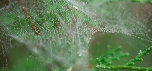 LMS und LXP für die digitale Weiterbildung