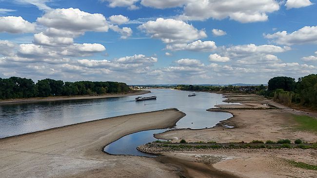 Niedrigwasser am Rhein bei Köln 2026