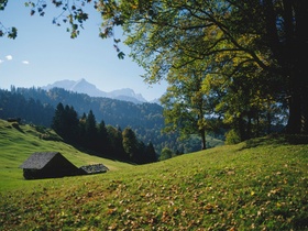 Herbstlandschaft mit Heustadel, Baeumen und Bergen