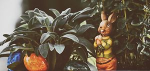 Enthauptung eines Deko-Hasen