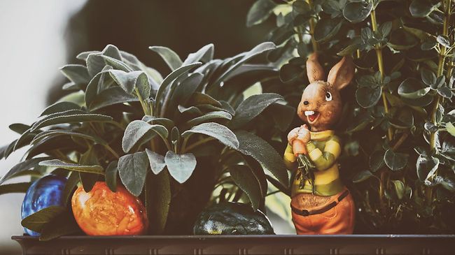 Vorösterliche Enthauptung eines Deko-Hasen