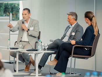 Panel Frankenhauser