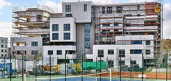 Papillon Düsseldorf