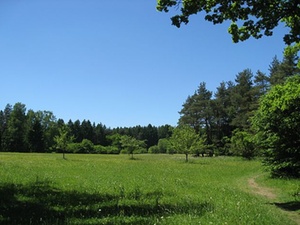 Erlöse aus naturschutzrechtlichen Ausgleichsmaßnahmen