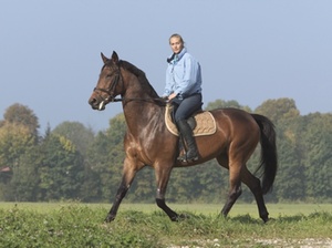 Ein Pferd die Umsatzsteuer und das Unionsrecht