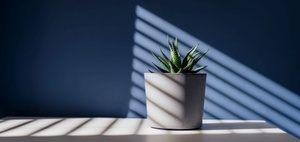 Zielgruppe für Makler: Zahl der Single-Haushalte steigt