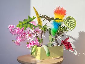 Pflanzen