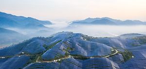 Photovoltaik Feld China