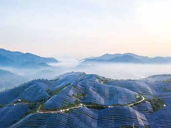 Photovoltaik Feld China