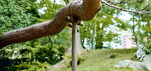 Praxisbeispiel Einführung einer People-Support-Plattform