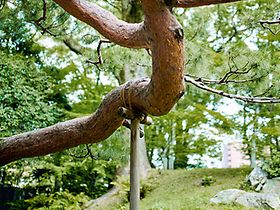  plainpicture/Heidi Mayer