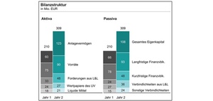 Gestapelte Säulendiagramme in der Bilanz