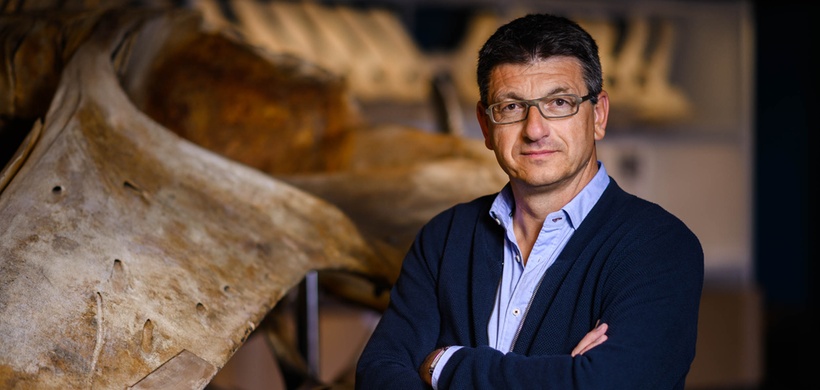 Prof. Dr. Glaubrecht