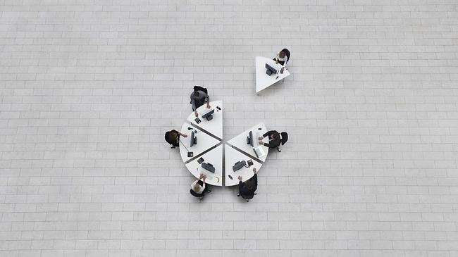 Inner Development: Aufbau organisatorischer Fähigkeiten für nachhaltige Wirkung