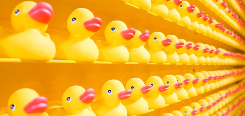 Quietscheentchen im Regal