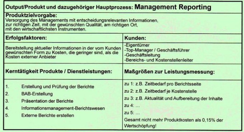 Raster zur Leistungsdefinition im Controlling-Bereich 