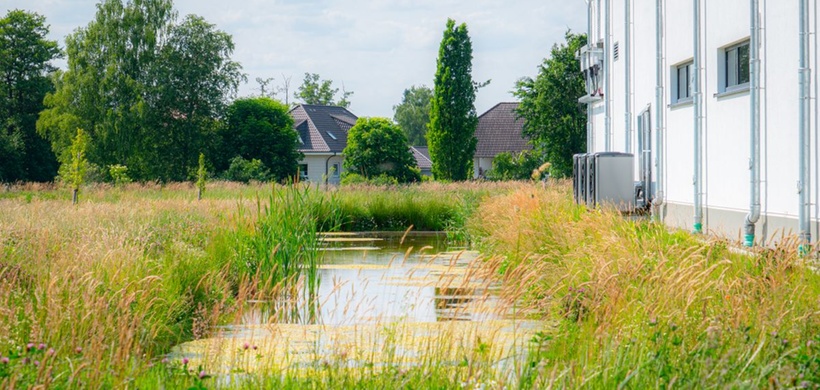 Ratisbona Außenanlagen Biodiversität