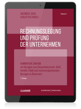 Rechnungslegung und Prüfung der Unternehmen (Online-Datenbank)