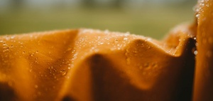 Interview Manfred Santen PFAS