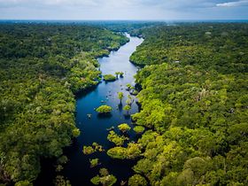 Regenwald Amazonas Fluss