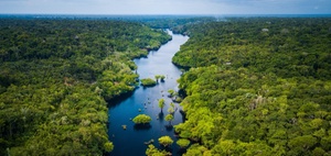 Biodiversitätszertifikate: Wichtige Fragen und Hintergründe