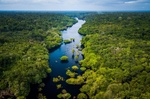 Regenwald Amazonas Fluss