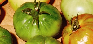 KI-Reifegrad im Personalwesen