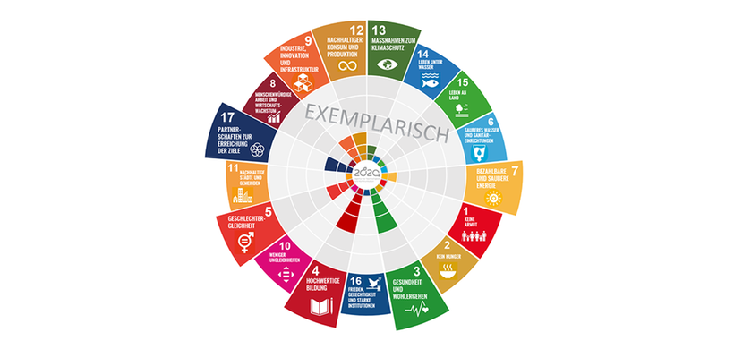 Reifegradmodell Nachhaltigkeit 2020