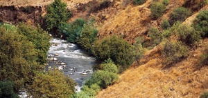 Nachhaltiger Hochwasserschutz: WEPA renaturiert Diemel 