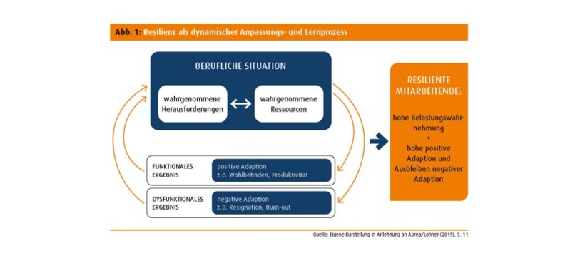 Resilienz als dynamischer Anpassungs- und Lernprozess