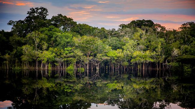 Rio Negro Amazonas