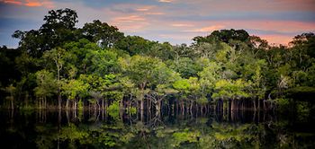 Rio Negro Amazonas