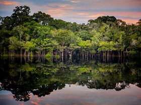 Rio Negro Amazonas