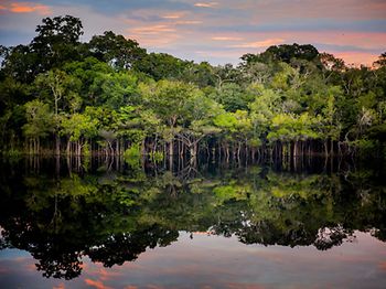 Rio Negro Amazonas
