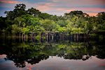 Rio Negro Amazonas