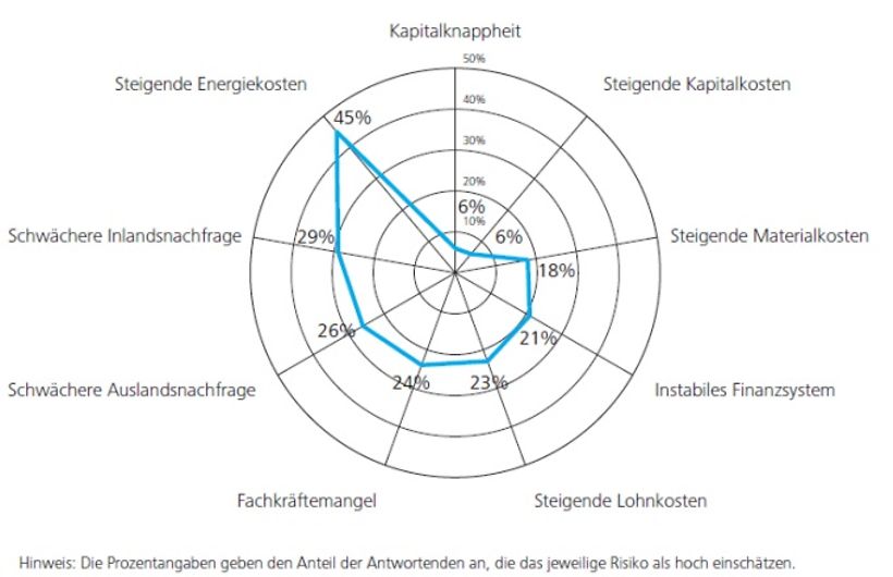 Risikofaktoren für die nächsten zwölf Monate aus der Sicht deutscher CFOs