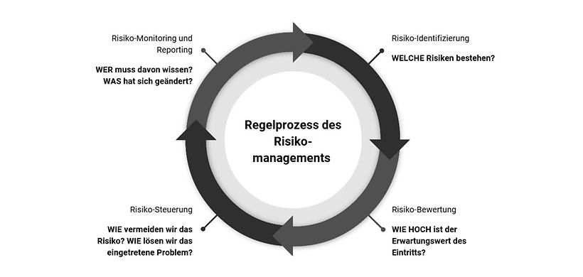 Risikomanagement-Zyklus