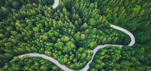 Road to Green: "Mehr Klimaschutz statt Datenschutz"