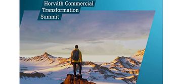 Sales Performance Excellence