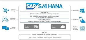 SAP Reporting-Innovationen: In-Memory, Cloud und Mobile