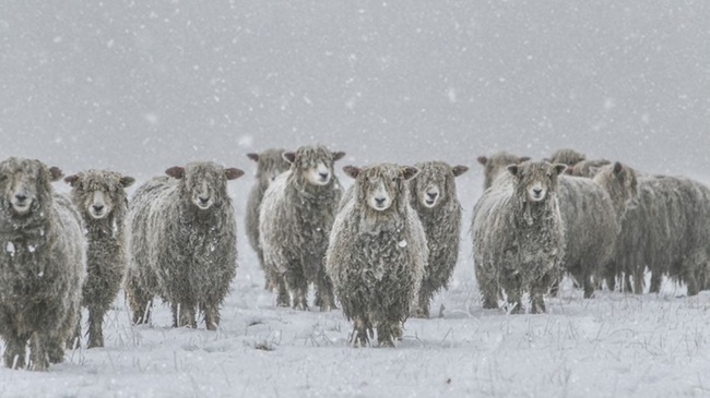 Winter vor Gericht: Urteile rund um Eis und Schnee