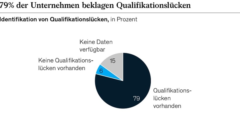 Schaubild HR-Monitor McKinsey
