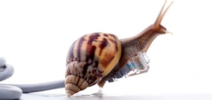 Technische Gebäudeausrüstung (TGA): 3 Fragen an Ahmad Shad