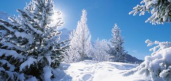 Schneebedeckter Berg bei Sonnenschein