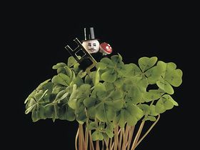 Schornsteinfeger im Kleeblatt