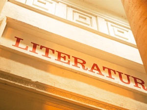 Online-Literaturforum: Bilanzanalyse KW 25 2015